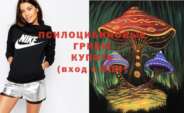 крисы Лихославль