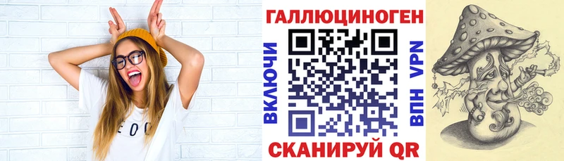Галлюциногенные грибы Psilocybine cubensis  как найти наркотики  Элиста 