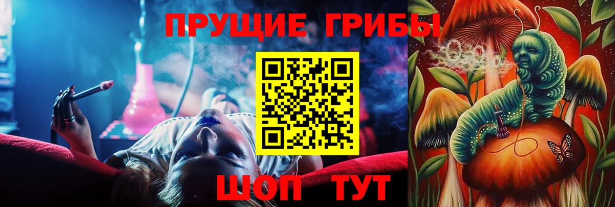 Галлюциногенные грибы Psilocybe  где продают   Элиста  Вход с VPN  Галлюциногенные грибы прущие грибы 